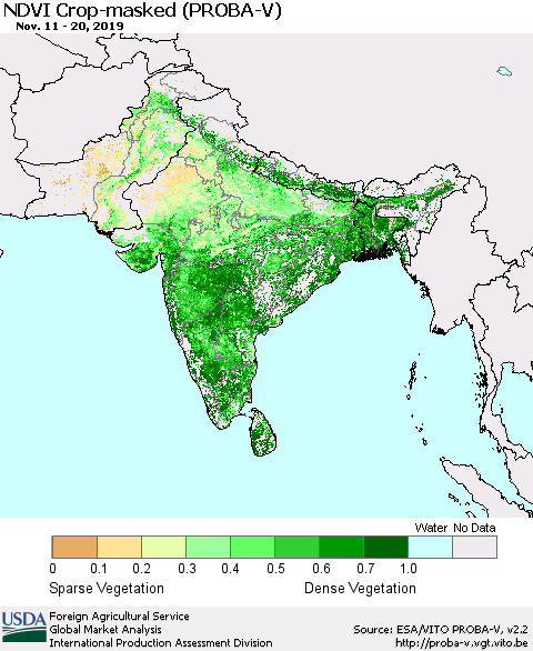 Southern Asia NDVI Crop-masked (PROBA-V) Thematic Map For 11/11/2019 - 11/20/2019