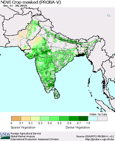 Southern Asia NDVI Crop-masked (PROBA-V) Thematic Map For 12/11/2019 - 12/20/2019