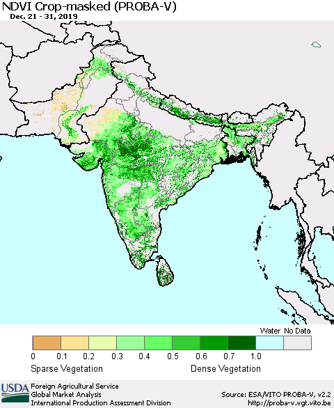 Southern Asia NDVI Crop-masked (PROBA-V) Thematic Map For 12/21/2019 - 12/31/2019