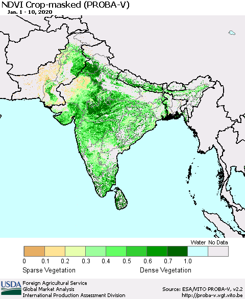 Southern Asia NDVI Crop-masked (PROBA-V) Thematic Map For 1/1/2020 - 1/10/2020