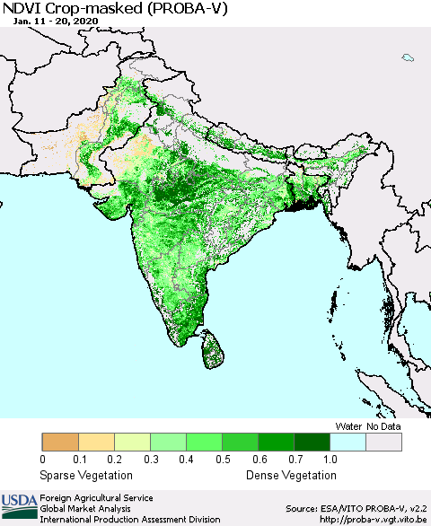 Southern Asia NDVI Crop-masked (PROBA-V) Thematic Map For 1/11/2020 - 1/20/2020