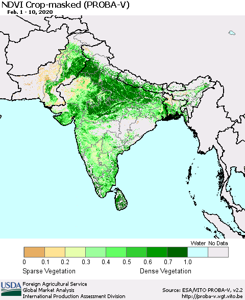 Southern Asia NDVI Crop-masked (PROBA-V) Thematic Map For 2/1/2020 - 2/10/2020