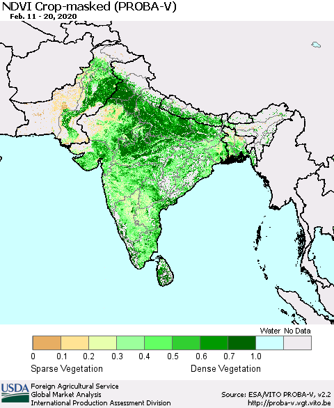 Southern Asia NDVI Crop-masked (PROBA-V) Thematic Map For 2/11/2020 - 2/20/2020