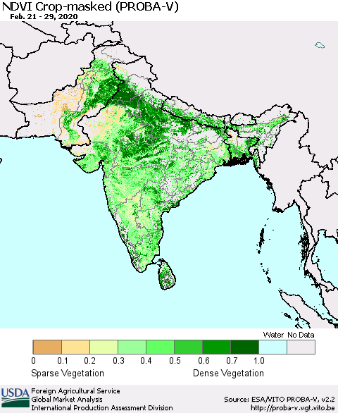 Southern Asia NDVI Crop-masked (PROBA-V) Thematic Map For 2/21/2020 - 2/29/2020