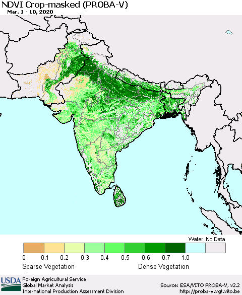 Southern Asia NDVI Crop-masked (PROBA-V) Thematic Map For 3/1/2020 - 3/10/2020