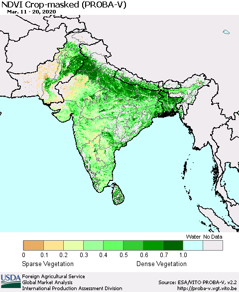 Southern Asia NDVI Crop-masked (PROBA-V) Thematic Map For 3/11/2020 - 3/20/2020