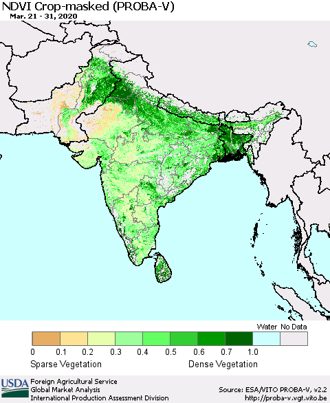 Southern Asia NDVI Crop-masked (PROBA-V) Thematic Map For 3/21/2020 - 3/31/2020