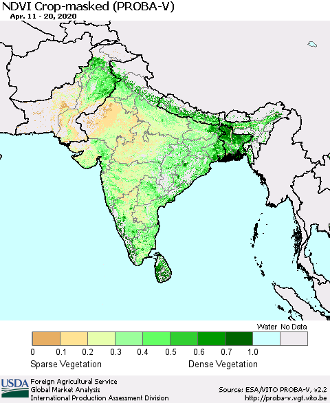 Southern Asia NDVI Crop-masked (PROBA-V) Thematic Map For 4/11/2020 - 4/20/2020