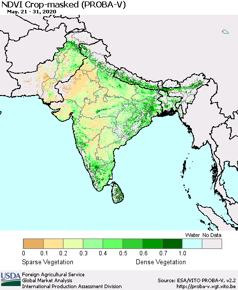 Southern Asia NDVI Crop-masked (PROBA-V) Thematic Map For 5/21/2020 - 5/31/2020