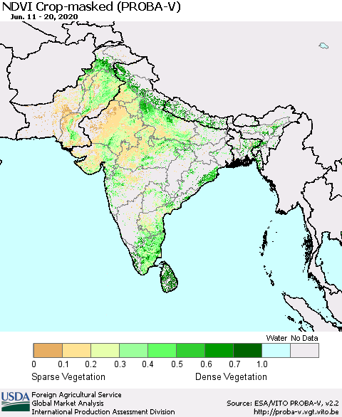 Southern Asia NDVI Crop-masked (PROBA-V) Thematic Map For 6/11/2020 - 6/20/2020