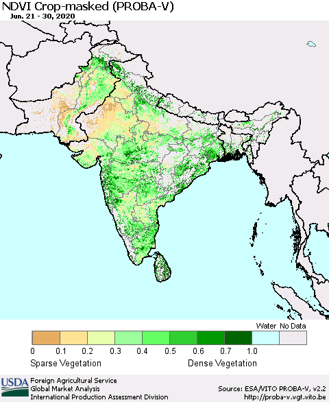 Southern Asia NDVI Crop-masked (PROBA-V) Thematic Map For 6/21/2020 - 6/30/2020