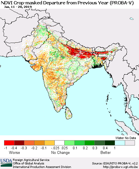 Southern Asia NDVI Crop-masked Departure from Previous Year (PROBA-V) Thematic Map For 1/11/2019 - 1/20/2019