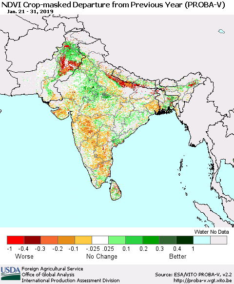 Southern Asia NDVI Crop-masked Departure from Previous Year (PROBA-V) Thematic Map For 1/21/2019 - 1/31/2019