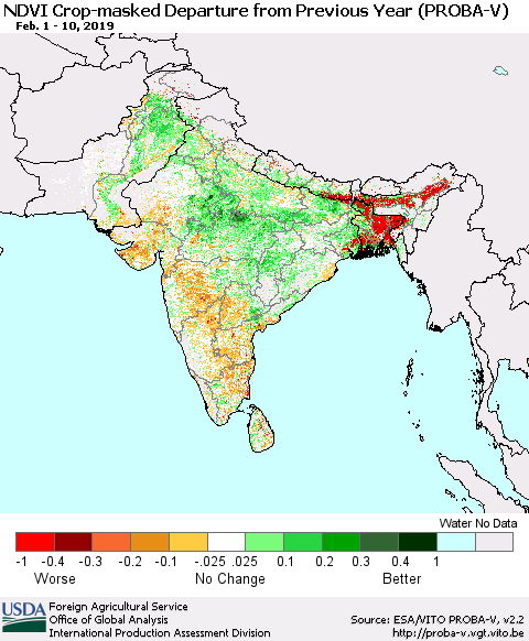 Southern Asia NDVI Crop-masked Departure from Previous Year (PROBA-V) Thematic Map For 2/1/2019 - 2/10/2019