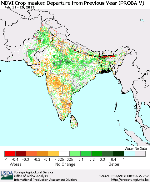 Southern Asia NDVI Crop-masked Departure from Previous Year (PROBA-V) Thematic Map For 2/11/2019 - 2/20/2019