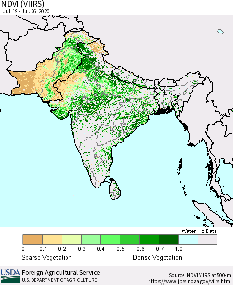Southern Asia NDVI (VIIRS) Thematic Map For 7/21/2020 - 7/31/2020