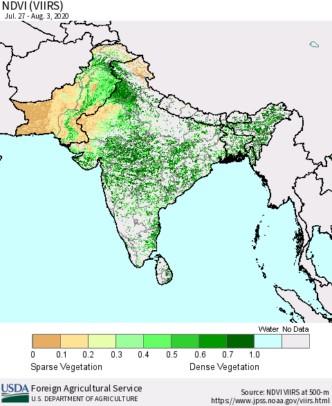 Southern Asia NDVI (VIIRS) Thematic Map For 8/1/2020 - 8/10/2020
