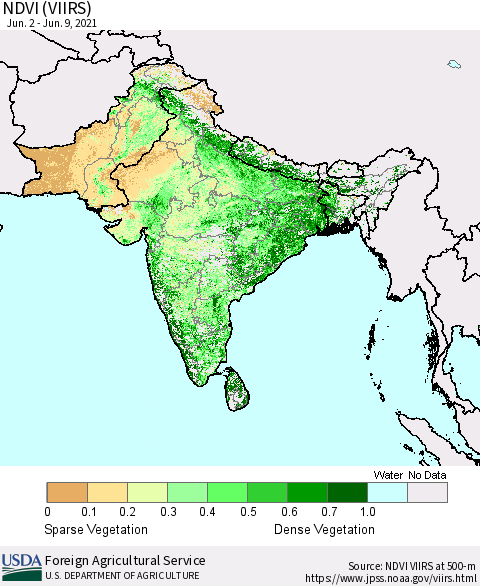 Southern Asia NDVI (VIIRS) Thematic Map For 6/1/2021 - 6/10/2021
