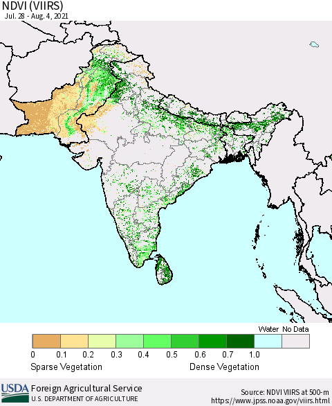 Southern Asia NDVI (VIIRS) Thematic Map For 8/1/2021 - 8/10/2021
