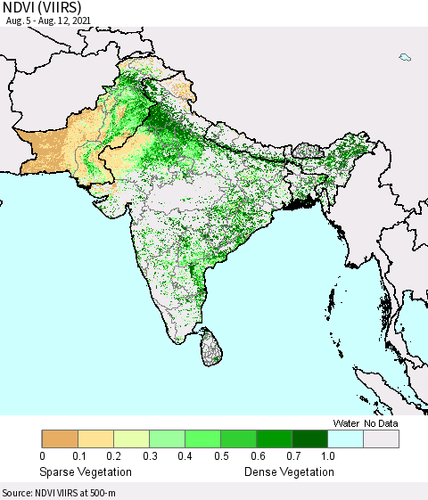 Southern Asia NDVI (VIIRS) Thematic Map For 8/5/2021 - 8/12/2021
