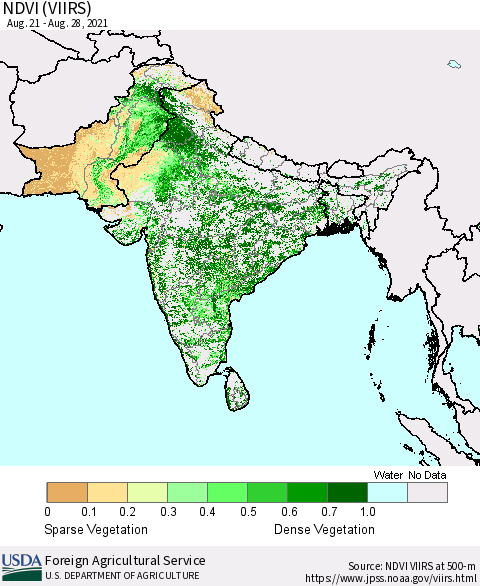 Southern Asia NDVI (VIIRS) Thematic Map For 8/21/2021 - 8/31/2021