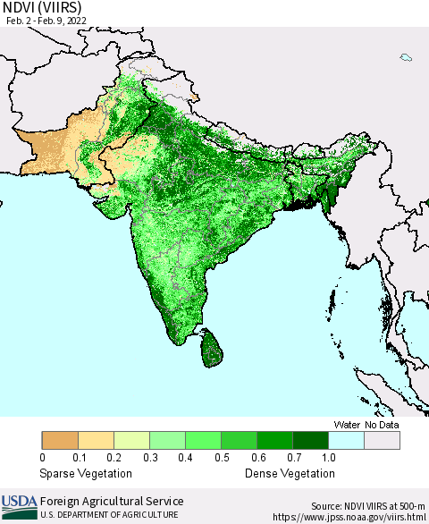 Southern Asia NDVI (VIIRS) Thematic Map For 2/1/2022 - 2/10/2022