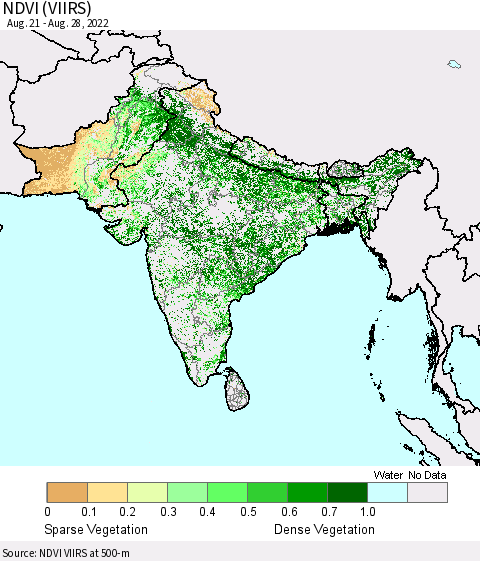 Southern Asia NDVI (VIIRS) Thematic Map For 8/21/2022 - 8/28/2022