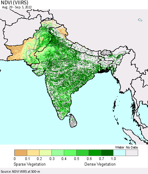 Southern Asia NDVI (VIIRS) Thematic Map For 8/29/2022 - 9/5/2022