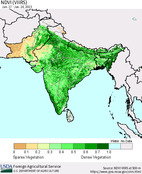 Southern Asia NDVI (VIIRS) Thematic Map For 1/21/2023 - 1/31/2023