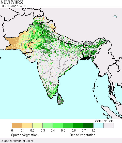 Southern Asia NDVI (VIIRS) Thematic Map For 7/28/2023 - 8/4/2023