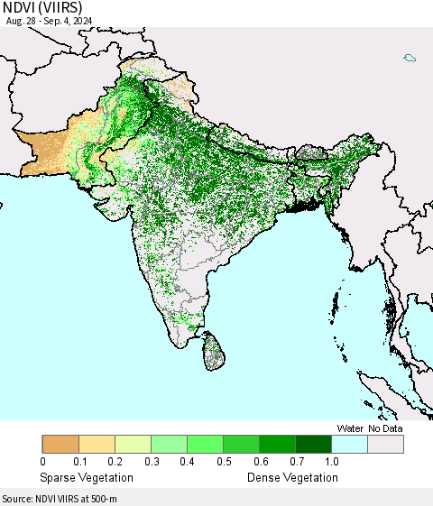 Southern Asia NDVI (VIIRS) Thematic Map For 8/28/2024 - 9/4/2024