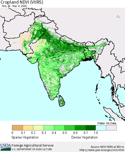 Southern Asia Cropland NDVI (VIIRS) Thematic Map For 3/1/2020 - 3/10/2020