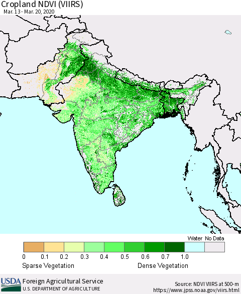 Southern Asia Cropland NDVI (VIIRS) Thematic Map For 3/11/2020 - 3/20/2020