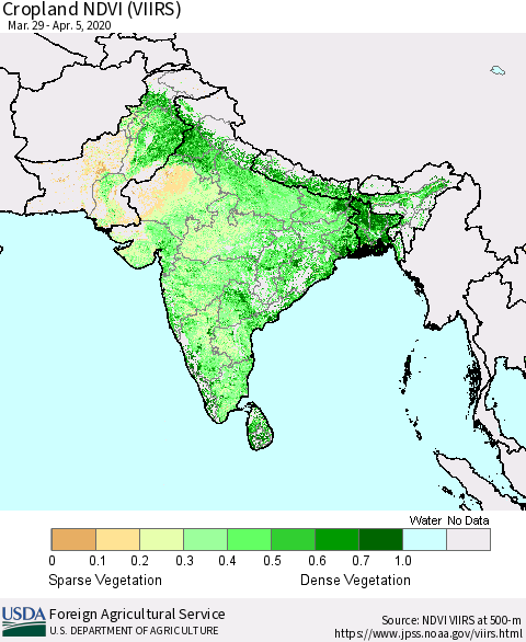 Southern Asia Cropland NDVI (VIIRS) Thematic Map For 4/1/2020 - 4/10/2020