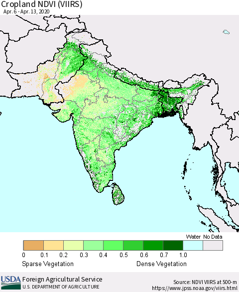 Southern Asia Cropland NDVI (VIIRS) Thematic Map For 4/11/2020 - 4/20/2020