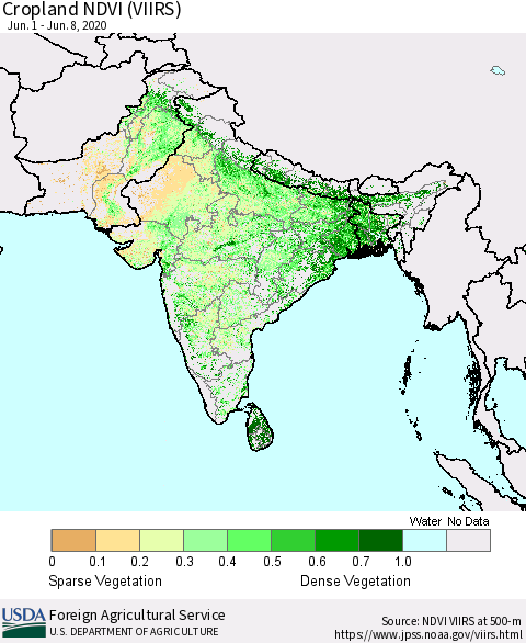 Southern Asia Cropland NDVI (VIIRS) Thematic Map For 6/1/2020 - 6/10/2020