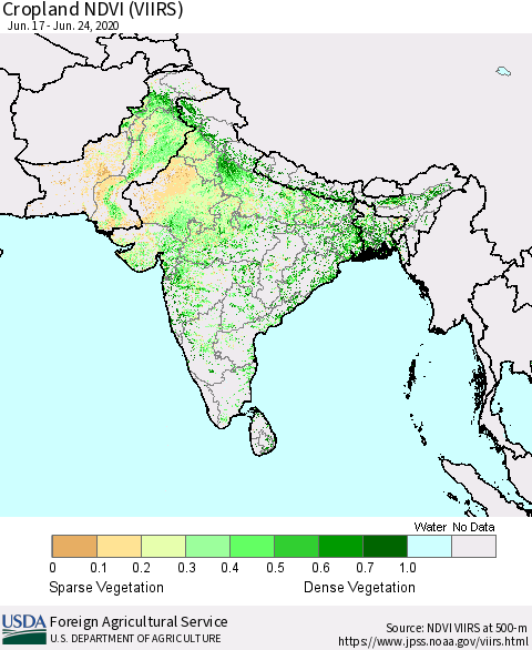 Southern Asia Cropland NDVI (VIIRS) Thematic Map For 6/21/2020 - 6/30/2020