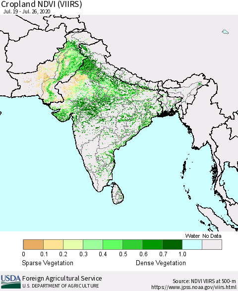Southern Asia Cropland NDVI (VIIRS) Thematic Map For 7/21/2020 - 7/31/2020