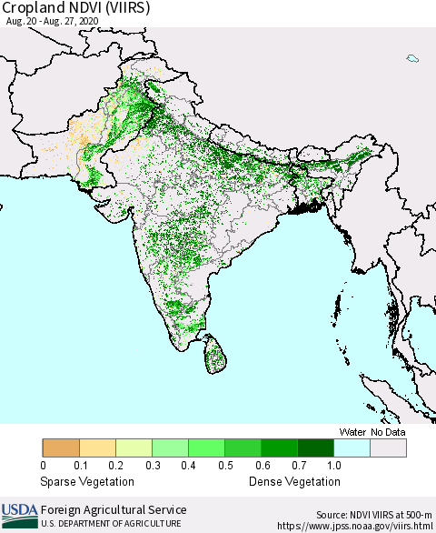 Southern Asia Cropland NDVI (VIIRS) Thematic Map For 8/21/2020 - 8/31/2020