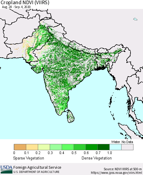 Southern Asia Cropland NDVI (VIIRS) Thematic Map For 9/1/2020 - 9/10/2020