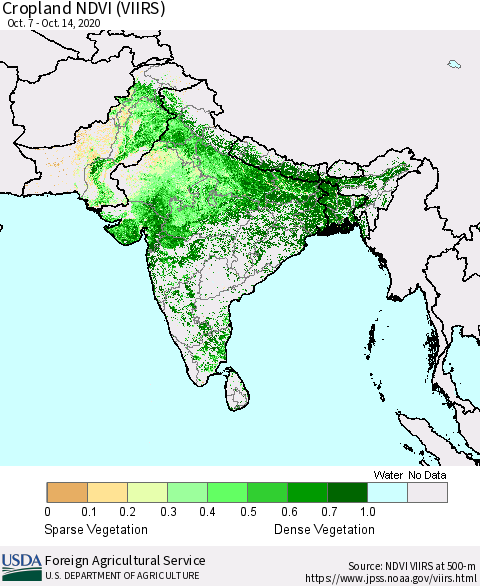 Southern Asia Cropland NDVI (VIIRS) Thematic Map For 10/11/2020 - 10/20/2020