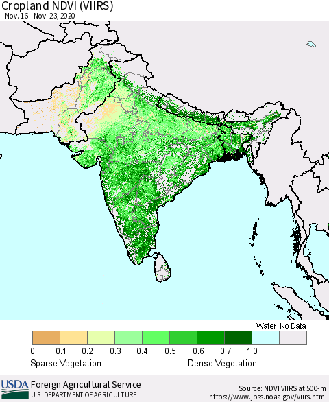 Southern Asia Cropland NDVI (VIIRS) Thematic Map For 11/21/2020 - 11/30/2020