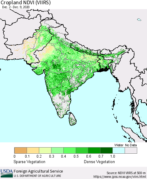 Southern Asia Cropland NDVI (VIIRS) Thematic Map For 12/1/2020 - 12/10/2020