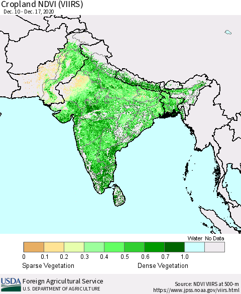 Southern Asia Cropland NDVI (VIIRS) Thematic Map For 12/11/2020 - 12/20/2020