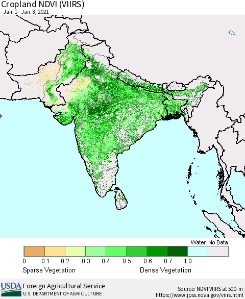 Southern Asia Cropland NDVI (VIIRS) Thematic Map For 1/1/2021 - 1/10/2021