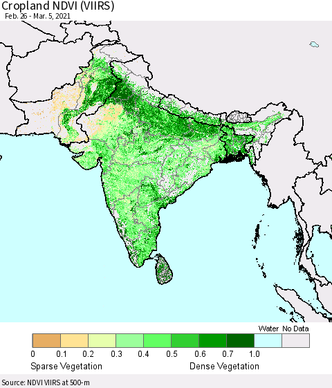 Southern Asia Cropland NDVI (VIIRS) Thematic Map For 2/26/2021 - 3/5/2021