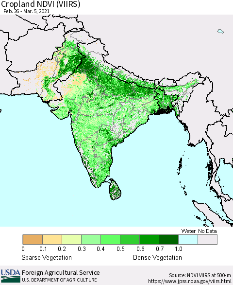 Southern Asia Cropland NDVI (VIIRS) Thematic Map For 3/1/2021 - 3/10/2021