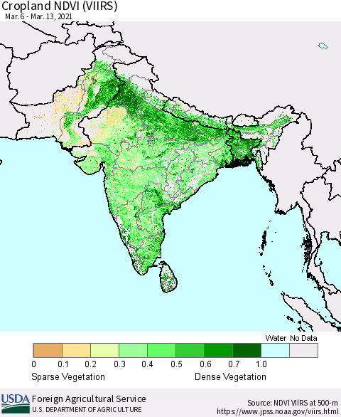 Southern Asia Cropland NDVI (VIIRS) Thematic Map For 3/11/2021 - 3/20/2021