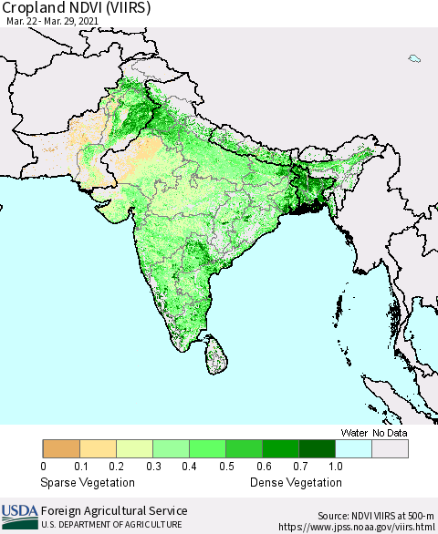 Southern Asia Cropland NDVI (VIIRS) Thematic Map For 3/21/2021 - 3/31/2021
