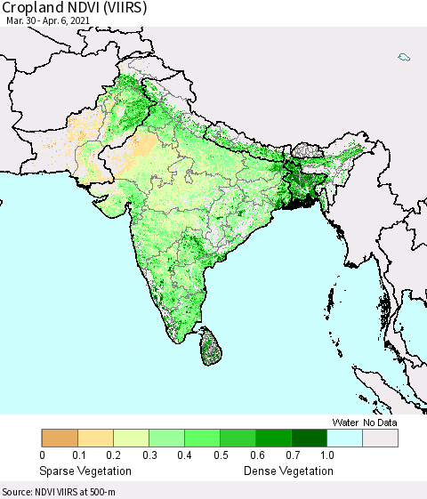 Southern Asia Cropland NDVI (VIIRS) Thematic Map For 3/30/2021 - 4/6/2021